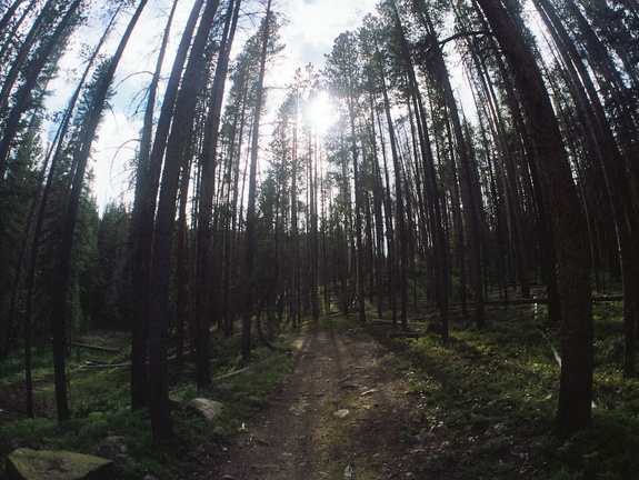 Baker Gulch Trail